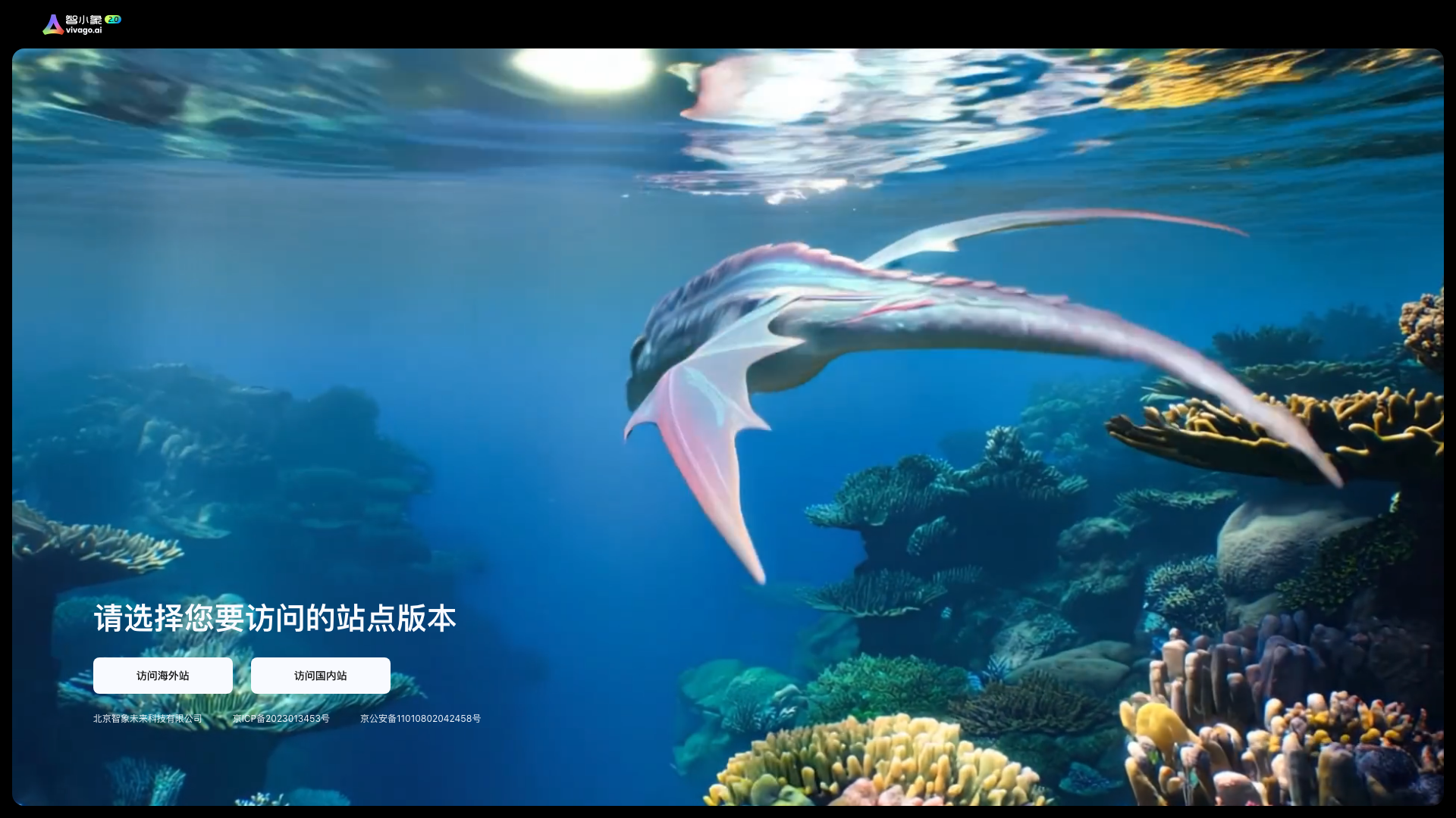 Viva 截图 1