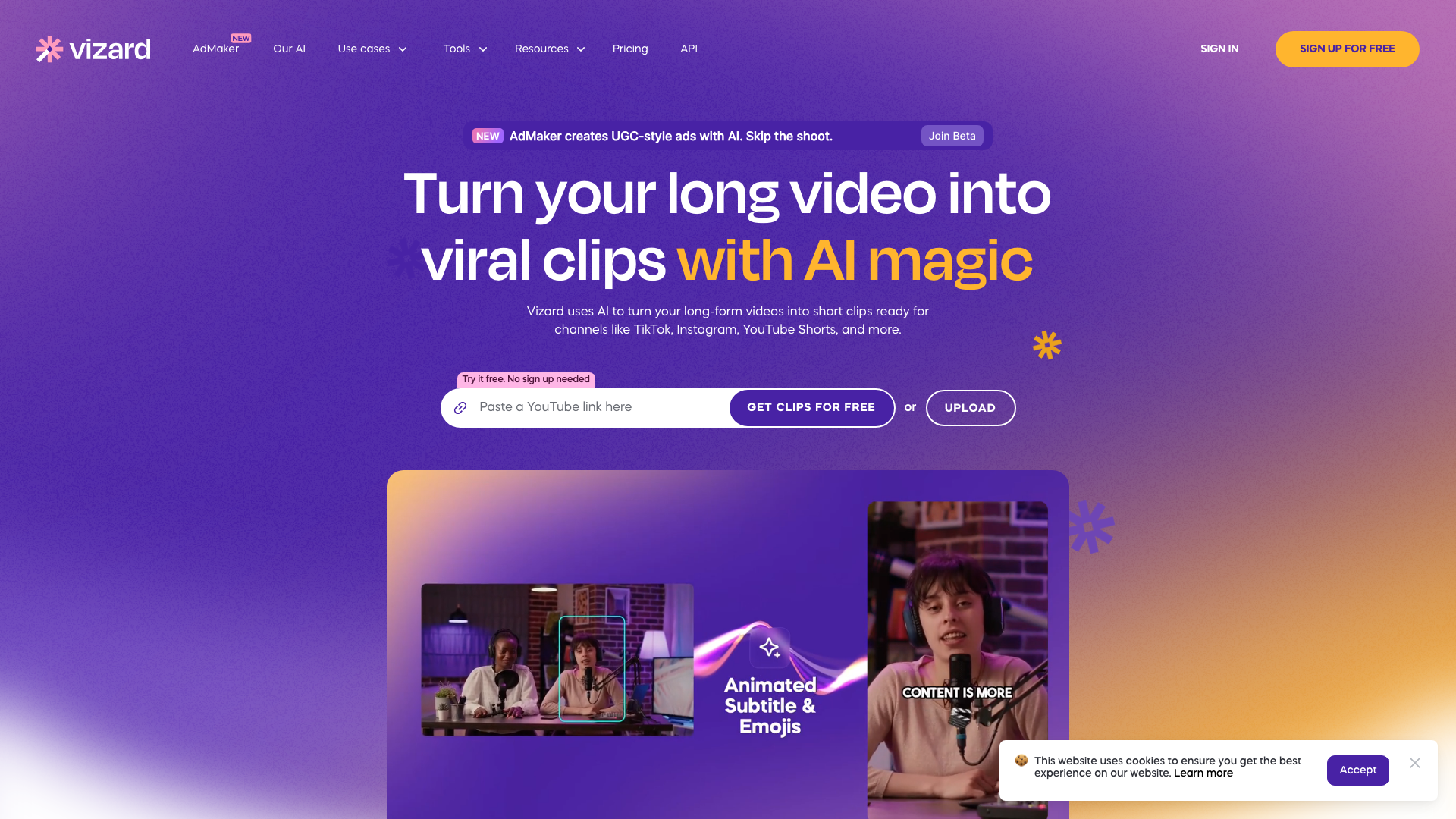 Vizard 截图 1